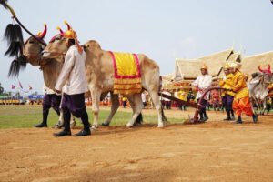 ស្វែងយល់អំពីព្រះរាជពិធីច្រត់ព្រះនង្គ័លដែលជាទំនៀម​ទម្លាប់​បវេណី​របស់​ខ្មែរ​តាំង​ពី​បុរាណកាល